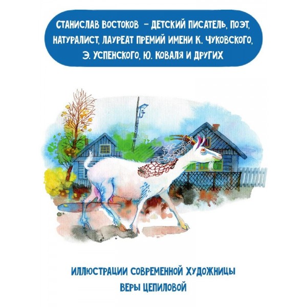 Кот в ведре. Рассказы о животных